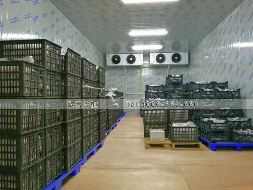 水果冷藏庫建造.jpg