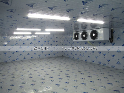 小黃姜保鮮庫.jpg 小黃姜保鮮庫.jpg