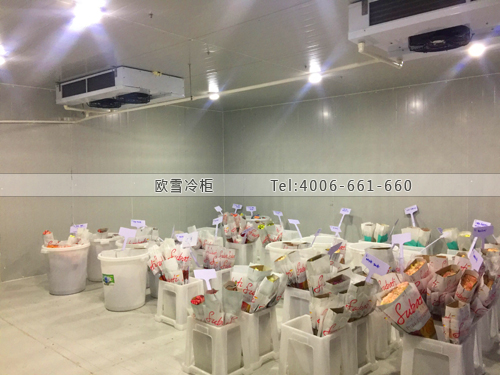 鮮花保鮮冷庫(kù).jpg