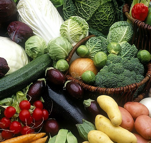 蔬菜保鮮冷庫安裝.jpg 蔬菜保鮮冷庫安裝.jpg