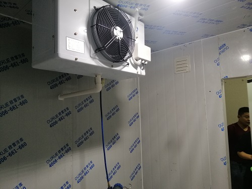 小型藥品冷庫(kù)安裝.jpg