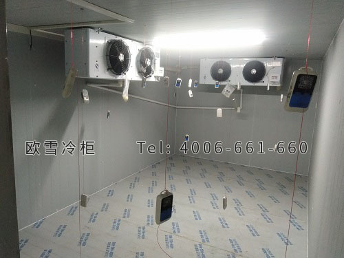 醫(yī)用藥品冷庫(kù).jpg