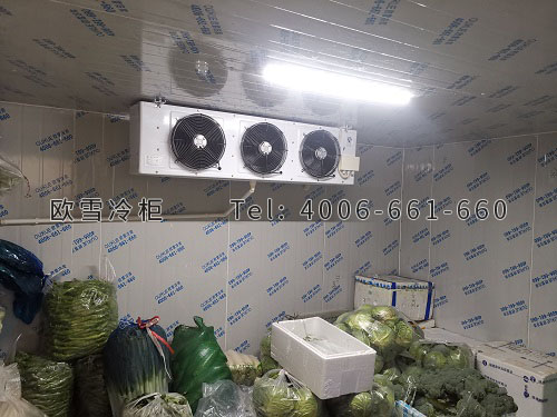 蔬菜冷庫(kù).jpg