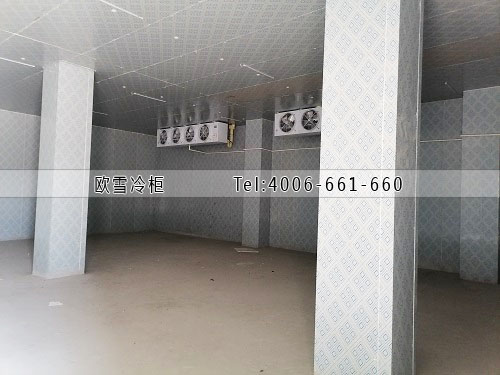 肉類冷庫建設多少錢一立方.jpg