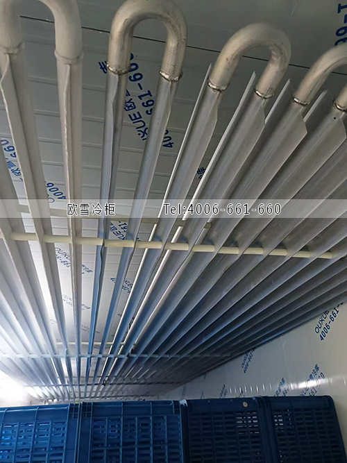 鋁排管冷庫(kù).jpg