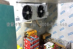 保鮮冷庫安裝-水果店水果保鮮冷庫工程設計