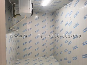 江蘇省泰州市水果店小型保鮮冷庫安裝
