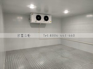 福建莆田冷藏、冷凍冷庫安裝案例