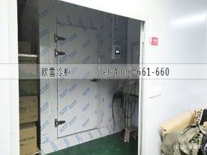 湖南省長沙市低溫速凍冷庫安裝案例