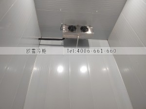 湖南長沙200立方工業材料冷凍冷庫安裝案例