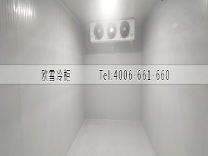 福建泉州食品雙溫儲存冷庫安裝案例