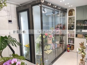 福建廈門花店小型玻璃冷庫安裝案例